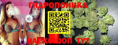 mdpv Гай