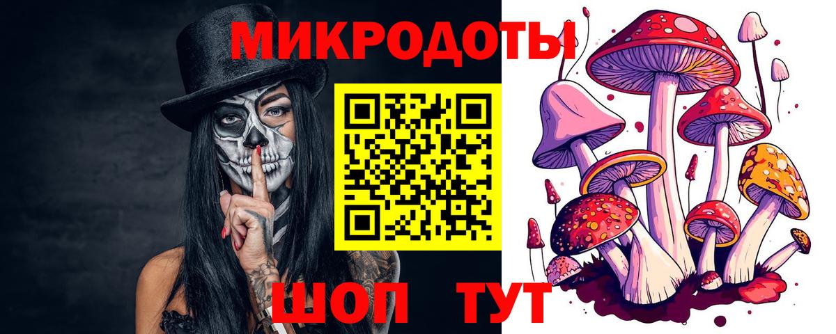 Назарово  Псилоцибиновые грибы прущие грибы  Вход с VPN 