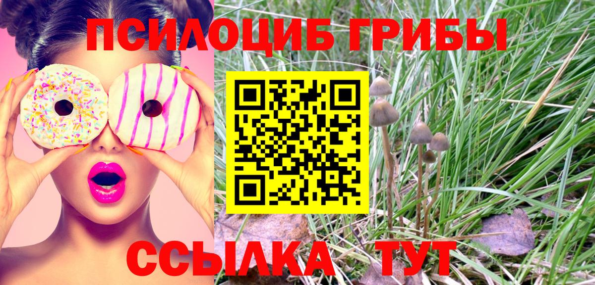 Псилоцибиновые грибы MAGIC MUSHROOMS Назарово